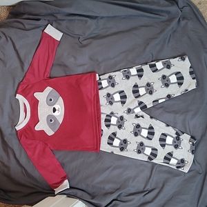 Carter's Cotton & Fleece Pj's (boy)